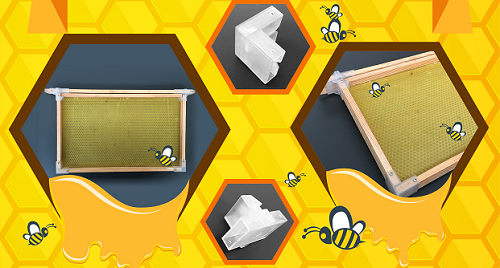 Bee Hive Frame Kit